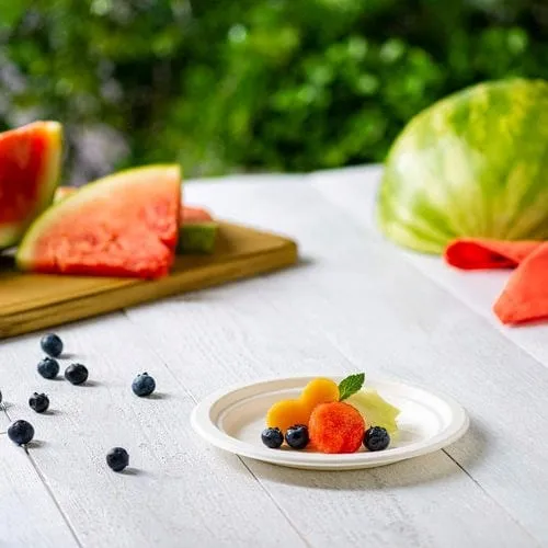EFPL1091-D Compostable 9" Heavy-Duty Sugarcane Paper Plates - 500 Pcs | Denson CFE