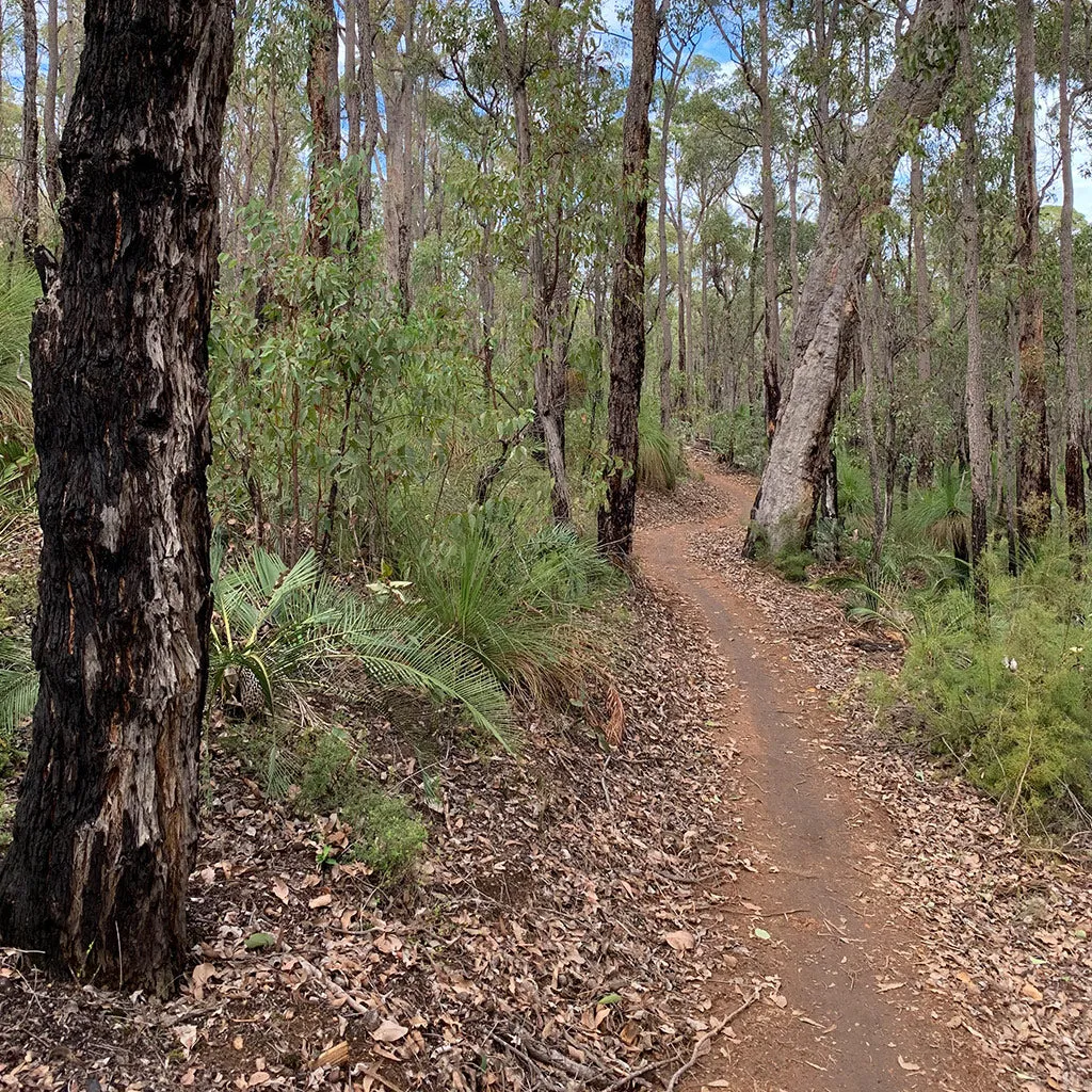 Munda Biddi Trail Map 5 - Waistcoat Road to Shannon River