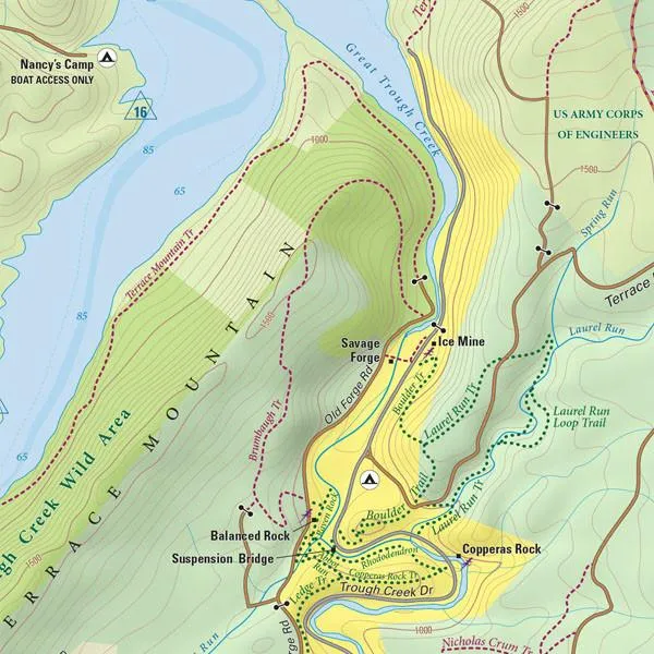 Purple Lizard Raystown Lizard Map