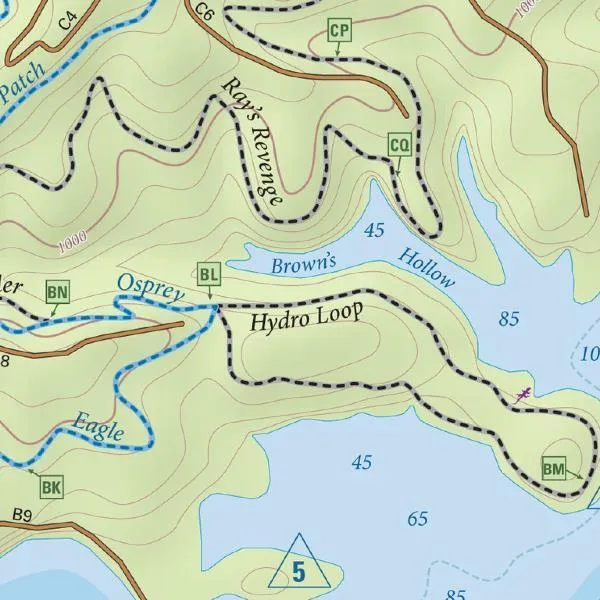 Purple Lizard Raystown Lizard Map